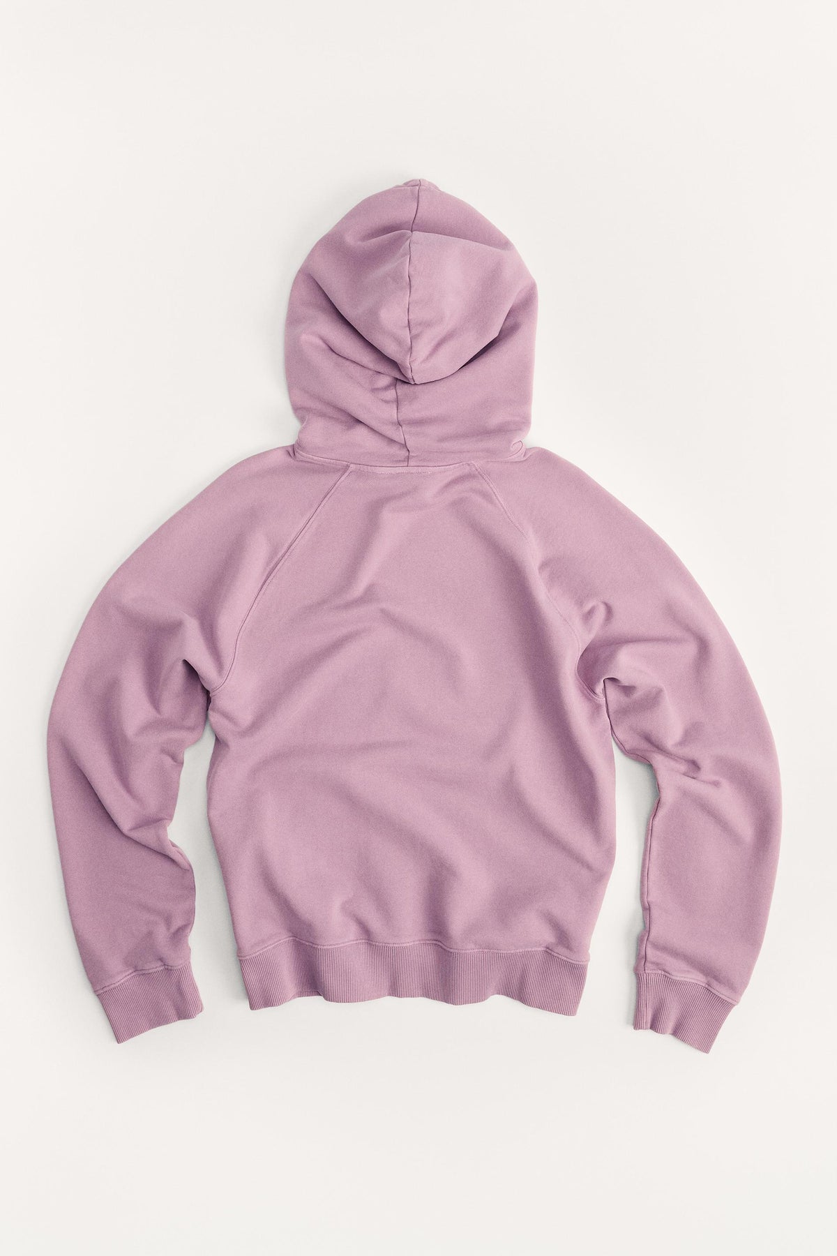 Sweatshirt zum 50. Jubiläum