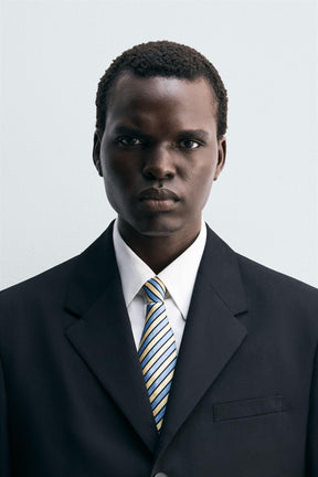 100% SILK STRIPED TIE - Image 1